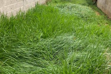 Terreno &agrave; venda - 145m&sup2; - Alvin&oacute;polis