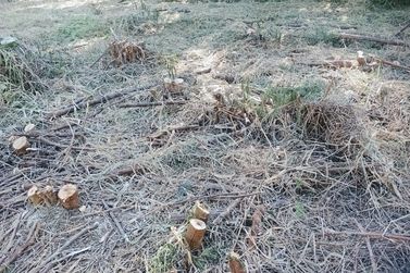 Terreno &agrave; venda - 769m&sup2; - LOTEAMENTO VALE DAS FLORES