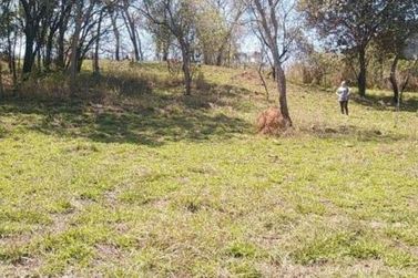 Terreno &agrave; venda - 1000m&sup2; - Vit&oacute;ria R&eacute;gia