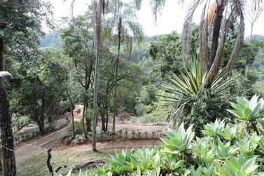 S&iacute;tio &agrave; venda - 200m&sup2; - CAMPO LARGO
