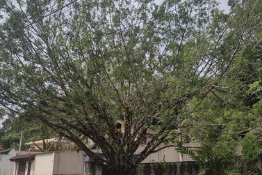 Apartamento &agrave; venda - 143m&sup2; - ITAGUA