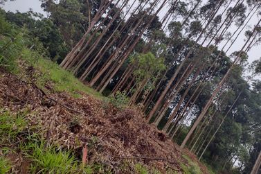 Terreno &agrave; venda - 1000m&sup2; - pinhal grande