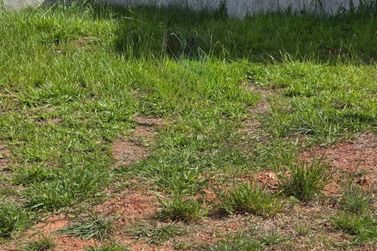 Terreno &agrave; venda - 360m&sup2; - Alpes de Atibaia