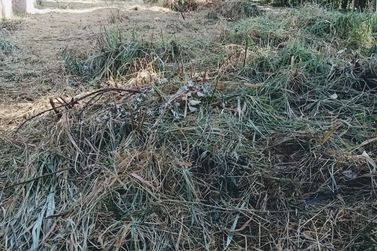 Terreno &agrave; venda - 769m&sup2; - LOTEAMENTO VALE DAS FLORES