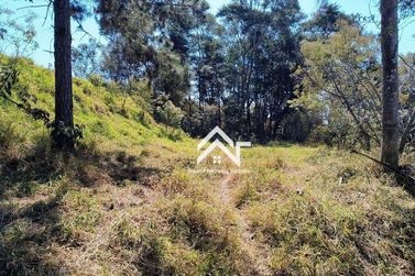Terreno &agrave; venda - 40000m&sup2; - Canedos