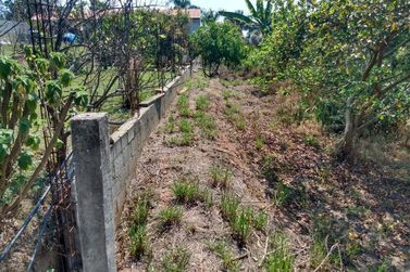 Terreno &agrave; venda - 1910m&sup2; - bairro jardim paraiso