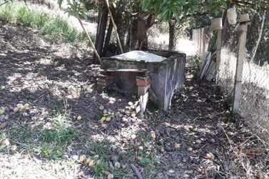 Ch&aacute;cara &agrave; venda - 6000m&sup2; - atibaia