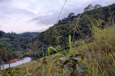 Terreno &agrave; venda - 2587m&sup2; - Port&atilde;o