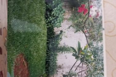 Terreno &agrave; venda - 554m&sup2; - JARDIM COLONIAL