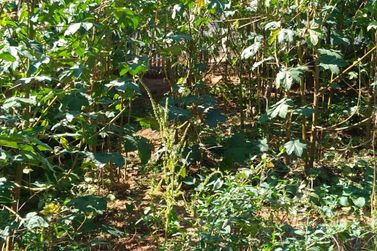 Terreno &agrave; venda - 283m&sup2; - JARDIM DO TREVO