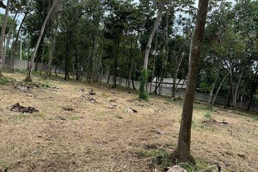 Terreno &agrave; venda - 5000m&sup2; - Paiol Grande