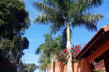 Ch&aacute;cara &agrave; venda - 1416m&sup2; - Terra Preta