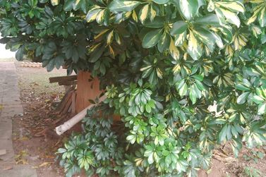 Ch&aacute;cara &agrave; venda - RETIRO DAS FONTES
