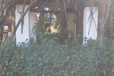 Ch&aacute;cara &agrave; venda - 2160m&sup2; - Jardim dos Pinheiros
