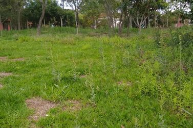 Terreno &agrave; venda - 3525m&sup2; - RIBEIR&Atilde;O DOS PORCOS