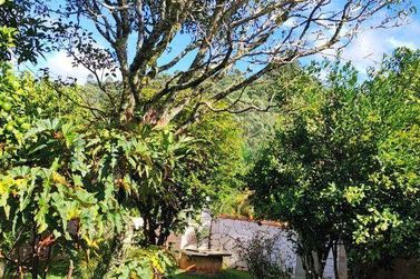 Ch&aacute;cara &agrave; venda - 1000m&sup2; - Port&atilde;o