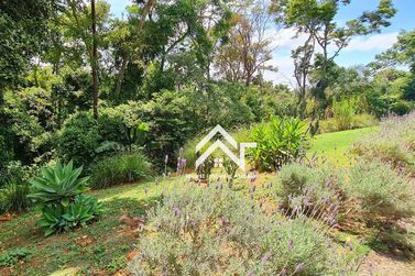 Ch&aacute;cara &agrave; venda - 4200m&sup2; - Port&atilde;o