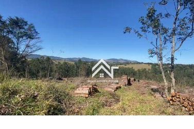Terreno &agrave; venda - 61503m&sup2; - Paiol Grande