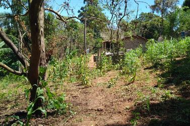 Ch&aacute;cara &agrave; venda - IARA