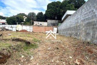 Terreno &agrave; venda - 493m&sup2; - Jardim Maristela