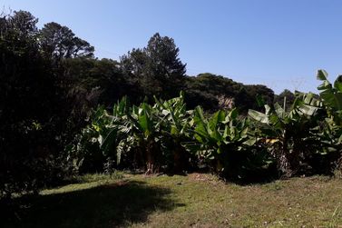 Sobrado &agrave; venda - JARDIM MARACAN&Atilde;