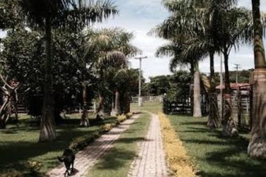 S&iacute;tio &agrave; venda - 12000m&sup2; - Areia Branca
