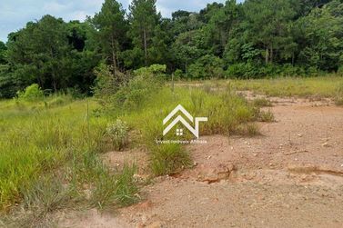 Terreno &agrave; venda - 15000m&sup2; - Ros&aacute;rio