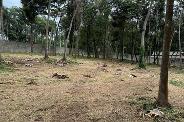 Terreno &agrave; venda - 5000m&sup2; - Paiol Grande