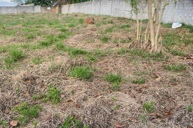 Terreno &agrave; venda - 1000m&sup2; - Est&acirc;ncia Santa Maria do Port&atilde;o