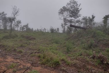 Terreno &agrave; venda - 1000m&sup2; - pinhal grande