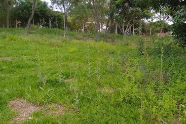 Terreno &agrave; venda - 3525m&sup2; - RIBEIR&Atilde;O DOS PORCOS