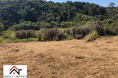 Terreno &agrave; venda - 4801m&sup2; - Ribeir&atilde;o dos Porcos