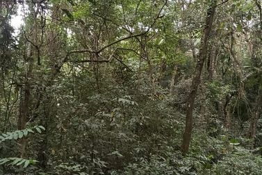 Terreno &agrave; venda - 980m&sup2; - ATIBAIA BELVEDERE