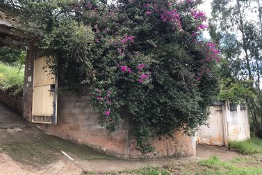 Ch&aacute;cara &agrave; venda - vitoria regia