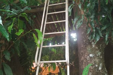 Ch&aacute;cara &agrave; venda - RETIRO DAS FONTES