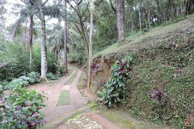 S&iacute;tio &agrave; venda - 200m&sup2; - CAMPO LARGO