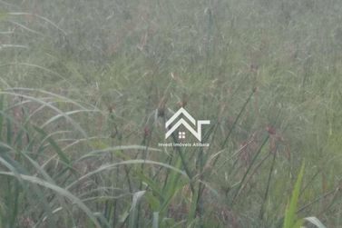 Terreno &agrave; venda - 20000m&sup2; - Ponte Alta