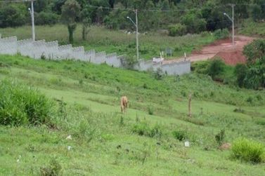 Terreno &agrave; venda - 17400m&sup2; - Tanque