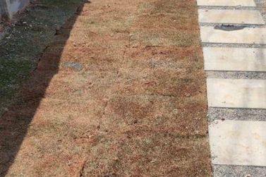 Terreno &agrave; venda - 504m&sup2; - Jardim Paulista