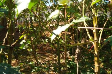 Terreno &agrave; venda - 283m&sup2; - JARDIM DO TREVO