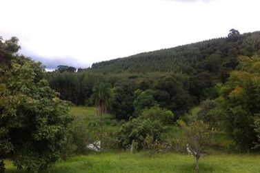 S&iacute;tio &agrave; venda - 12000m&sup2; - Areia Branca