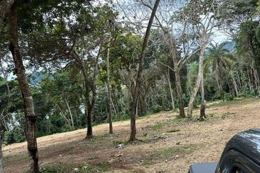 Terreno &agrave; venda - 5000m&sup2; - Paiol Grande