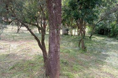 Terreno &agrave; venda - 633m&sup2; - Vit&oacute;ria R&eacute;gia