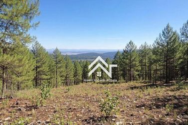 Terreno &agrave; venda - 3600m&sup2; - Rio Abaixo