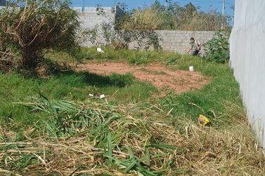 Terreno &agrave; venda - 186m&sup2; - BELLA ATIBAIA