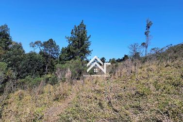 Terreno &agrave; venda - 40000m&sup2; - Canedos