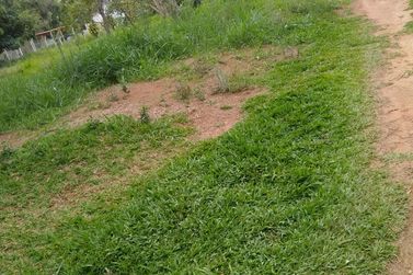 Terreno &agrave; venda - 3525m&sup2; - RIBEIR&Atilde;O DOS PORCOS