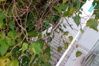 Sobrado &agrave; venda - JARDIM PAULISTA