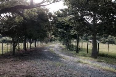 S&iacute;tio &agrave; venda - 12000m&sup2; - Areia Branca