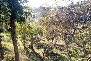 S&iacute;tio &agrave; venda - CACHOEIRA